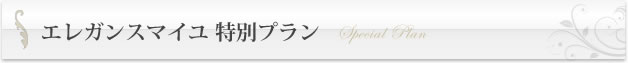 エレガンスマイユ 特別プラン